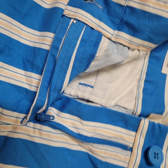 loft Blue and White Striped Women's Shorts used good condition . - Picture 8 of 8